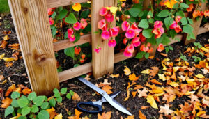Klippa ner luktärter på hösten: 7 steg för bästa blomning
